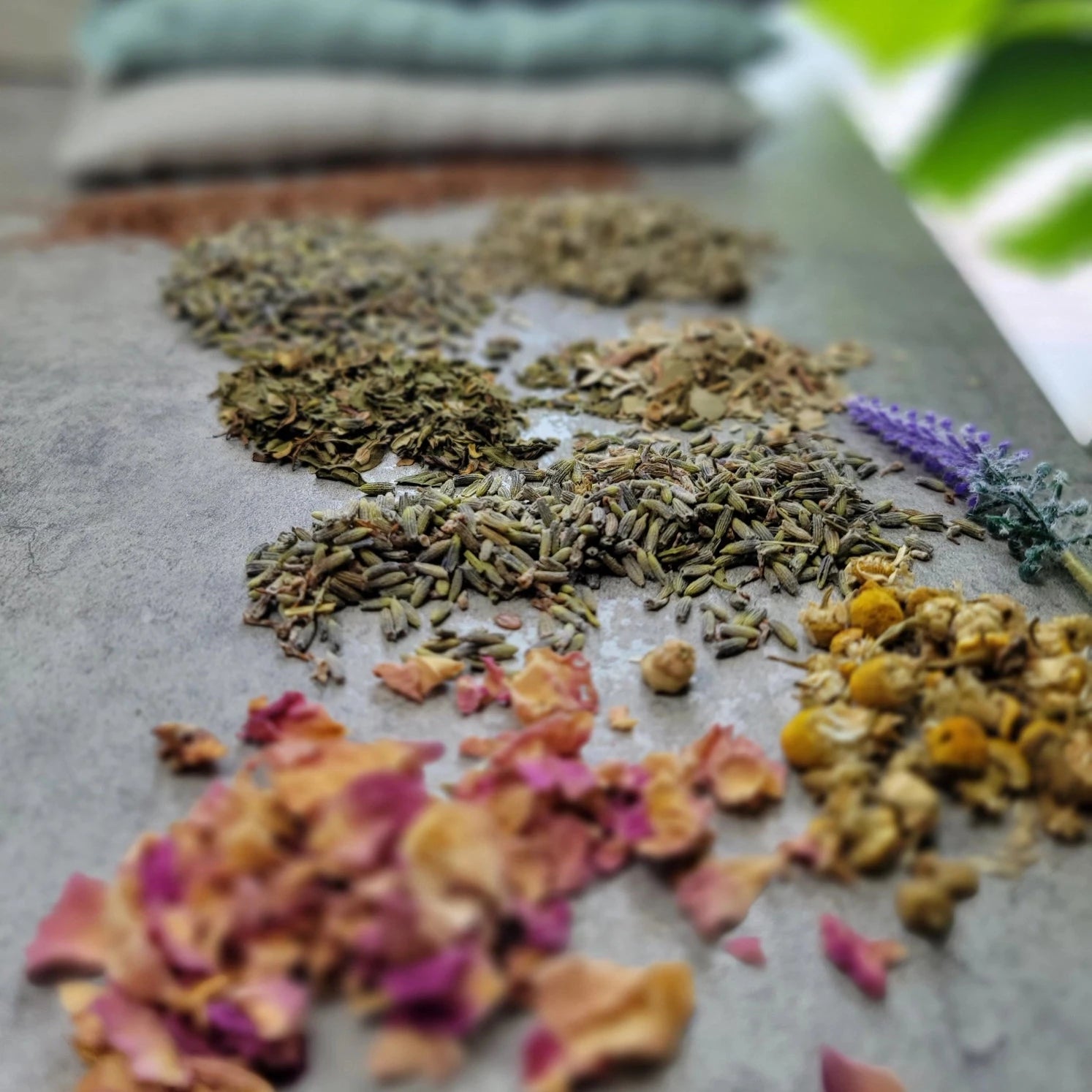 Aromatherapy Hot & Cold Eye Pillow by Calm Your Vibes