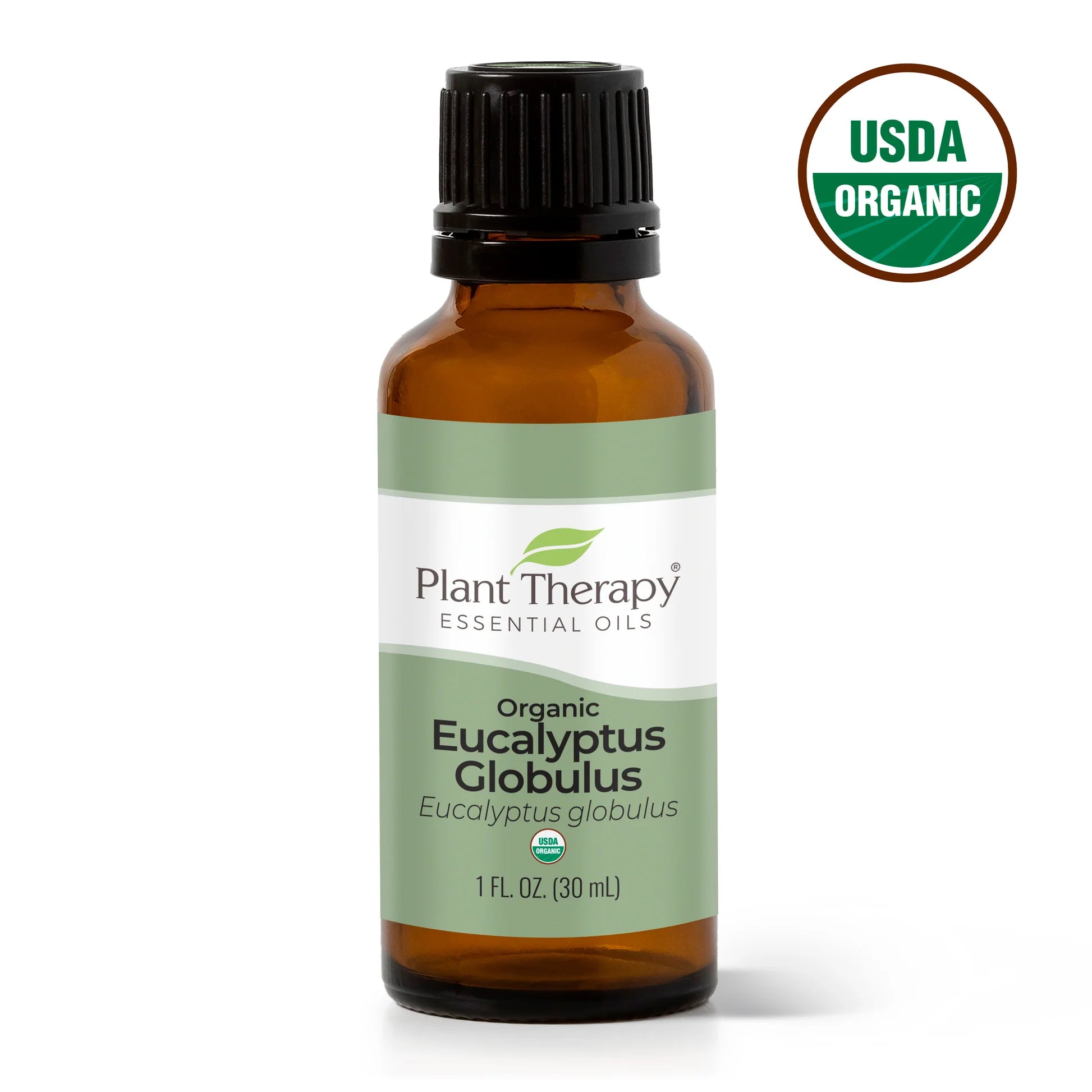 Organic Eucalyptus Globulus Essential Oil 30 Ml by Plant Therapy