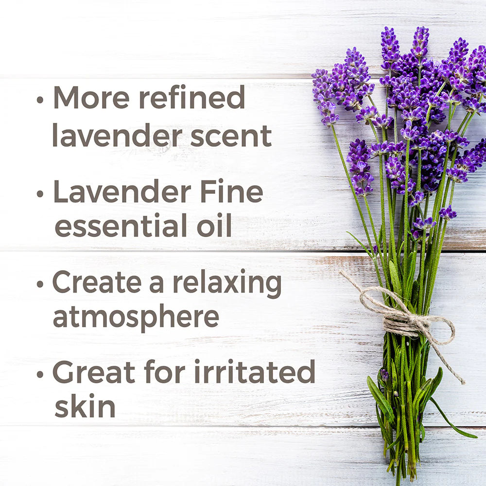 Organic Lavender Fine Essential Oil 10 Ml by Plant Therapy